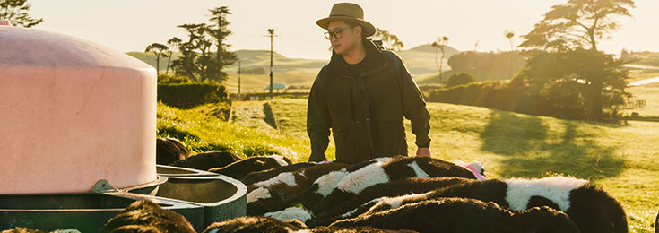 Young farmer in field feeding cows